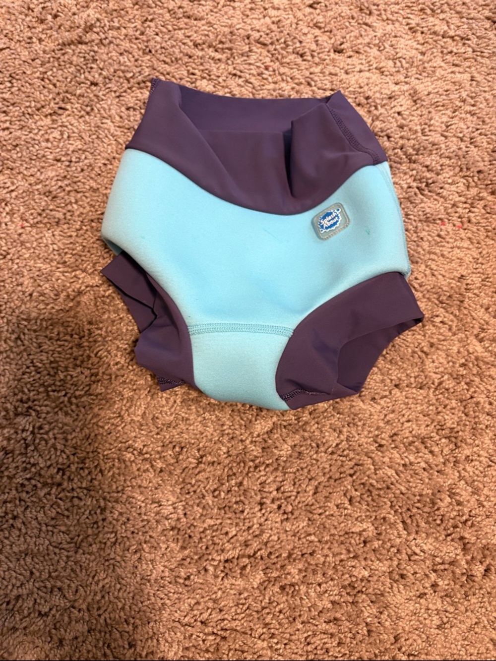 Blue and Purple Swim Diaper Cover